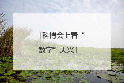 科博会上看“数字”大兴