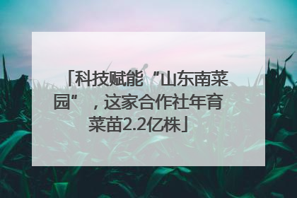 科技赋能“山东南菜园”，这家合作社年育菜苗2.2亿株