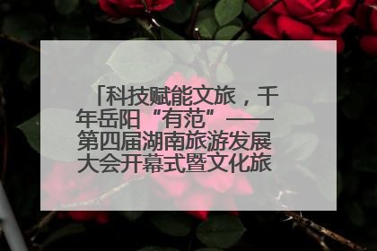 科技赋能文旅，千年岳阳“有范”——第四届湖南旅游发展大会开幕式暨文化旅游推介会侧记