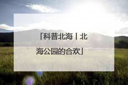 科普北海丨北海公园的合欢