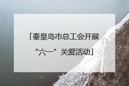 秦皇岛市总工会开展“六一”关爱活动