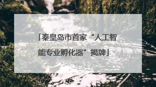 秦皇岛市首家“人工智能专业孵化器”揭牌