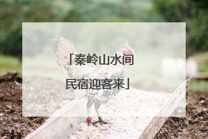 秦岭山水间 民宿迎客来