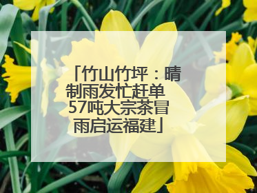 竹山竹坪：晴制雨发忙赶单 57吨大宗茶冒雨启运福建