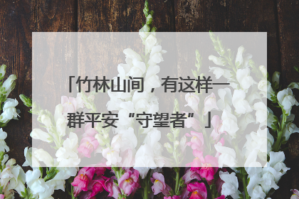 竹林山间，有这样一群平安“守望者”
