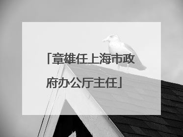 章雄任上海市政府办公厅主任