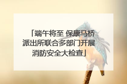 端午将至 保康马桥派出所联合多部门开展消防安全大检查
