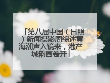 第八届中国（日照）新闻摄影周综述黄海潮声入镜来，港产城韵画卷开