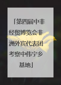 第四届中非经贸博览会非洲外宾代表团考察中伟宁乡基地