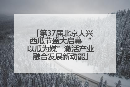 第37届北京大兴西瓜节盛大启幕 “以瓜为媒”激活产业融合发展新动能
