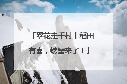 翠花走千村丨稻田有喜，螃蟹来了！