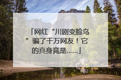 网红“川剧变脸鸟”骗了千万网友！它的真身竟是……