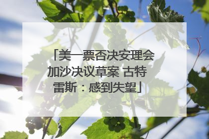美一票否决安理会加沙决议草案 古特雷斯：感到失望