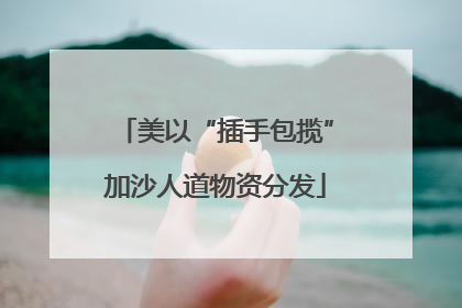 美以“插手包揽”加沙人道物资分发
