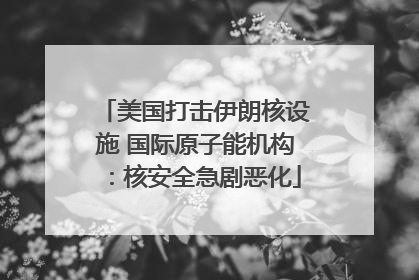 美国打击伊朗核设施 国际原子能机构：核安全急剧恶化