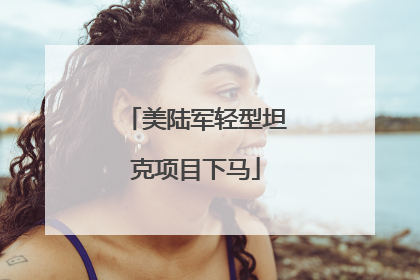 美陆军轻型坦克项目下马