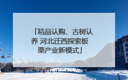 精品认购、古树认养 河北迁西探索板栗产业新模式