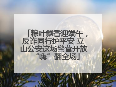 粽叶飘香迎端午，反诈同行护平安 立山公安这场警营开放“嗨”翻全场