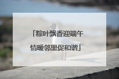 粽叶飘香迎端午 情暖邻里促和谐