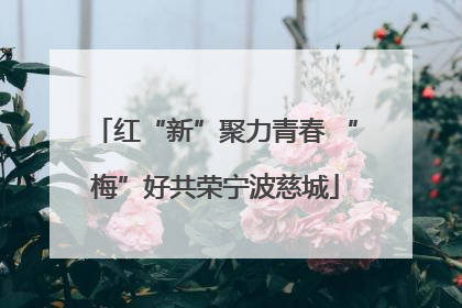 红“新”聚力青春 “梅”好共荣宁波慈城