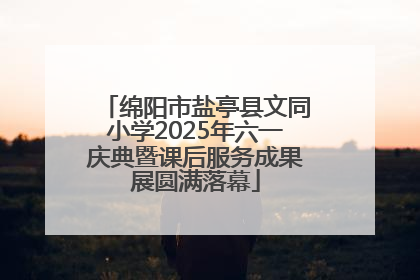 绵阳市盐亭县文同小学2025年六一庆典暨课后服务成果展圆满落幕