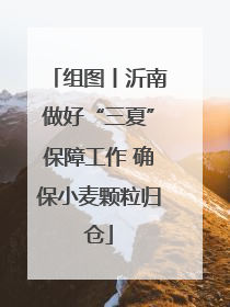 组图丨沂南做好“三夏”保障工作 确保小麦颗粒归仓