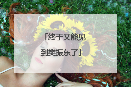 终于又能见到樊振东了