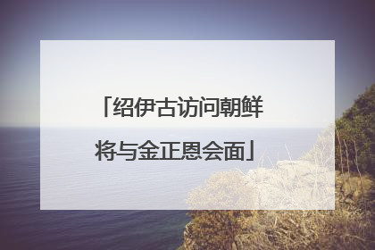 绍伊古访问朝鲜 将与金正恩会面