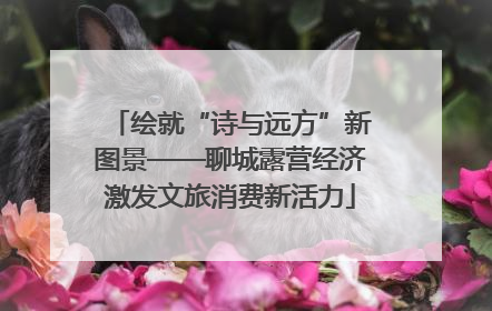 绘就“诗与远方”新图景——聊城露营经济激发文旅消费新活力