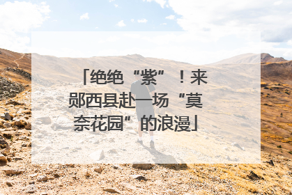 绝绝“紫”！来郧西县赴一场“莫奈花园”的浪漫