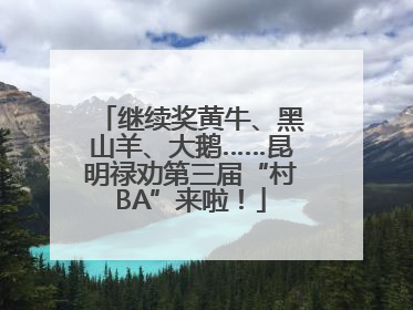 继续奖黄牛、黑山羊、大鹅……昆明禄劝第三届“村BA”来啦！