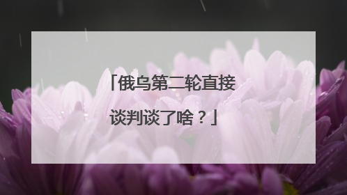 俄乌第二轮直接谈判谈了啥？