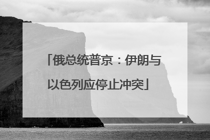 俄总统普京：伊朗与以色列应停止冲突