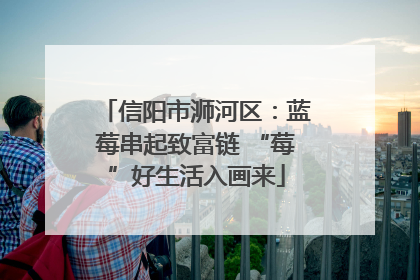 信阳市浉河区：蓝莓串起致富链 “莓”好生活入画来