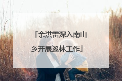 余洪雷深入南山乡开展巡林工作