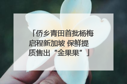 侨乡青田首批杨梅启程新加坡 保鲜提质售出“金果果”