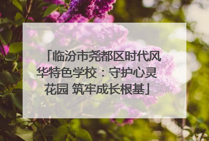 临汾市尧都区时代风华特色学校：守护心灵花园 筑牢成长根基