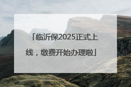 临沂保2025正式上线，缴费开始办理啦