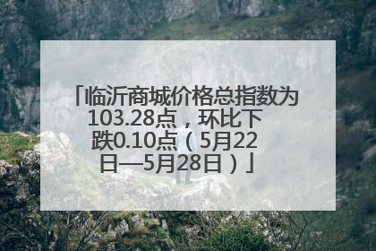临沂商城价格总指数为103.28点，环比下跌0.10点（5月22日—5月28日）