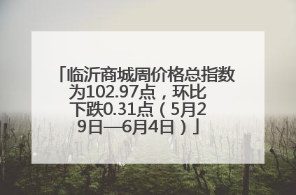 临沂商城周价格总指数为102.97点，环比下跌0.31点（5月29日—6月4日）