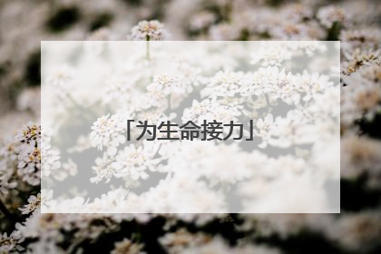 为生命接力