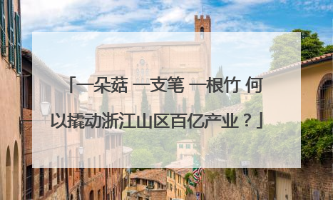 一朵菇 一支笔 一根竹 何以撬动浙江山区百亿产业？