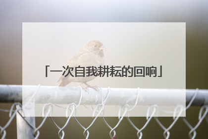 一次自我耕耘的回响