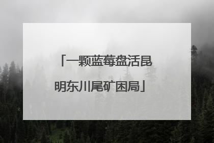 一颗蓝莓盘活昆明东川尾矿困局