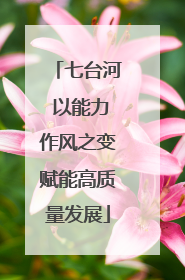 七台河 以能力作风之变赋能高质量发展