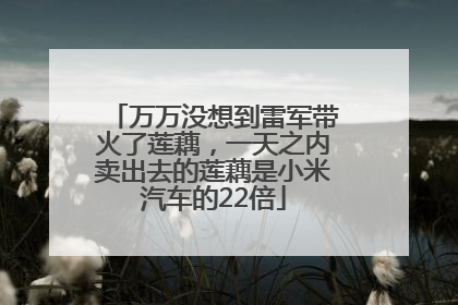 万万没想到雷军带火了莲藕，一天之内卖出去的莲藕是小米汽车的22倍