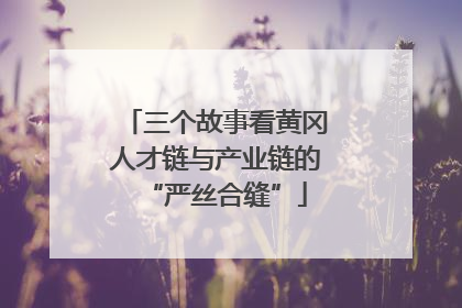 三个故事看黄冈人才链与产业链的“严丝合缝”