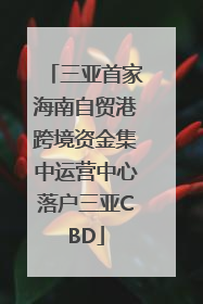 三亚首家海南自贸港跨境资金集中运营中心落户三亚CBD