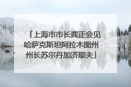 上海市市长龚正会见哈萨克斯坦阿拉木图州州长苏尔丹加济耶夫