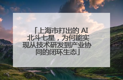 上海市打出的 AI 北斗七星，为何能实现从技术研发到产业协同的闭环生态